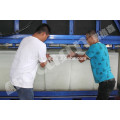 Quality Block Ice Machine with Germany Original Compressor